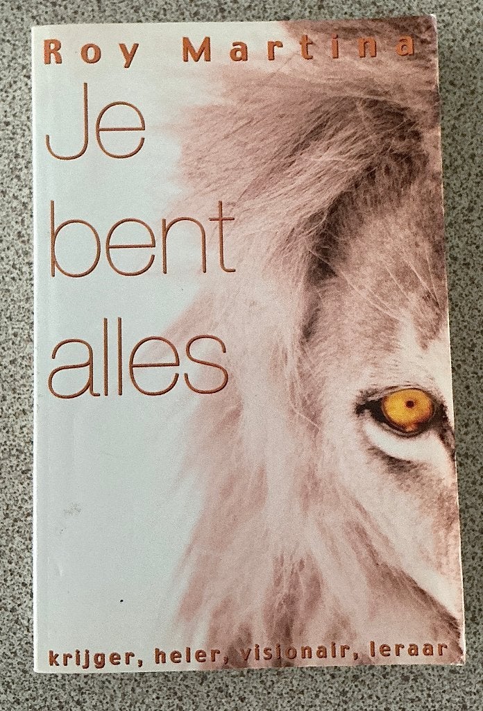 Je bent alles - Roy Martina, Gelezen, Achtergrond en Informatie, Spiritualiteit algemeen, Ophalen of Verzenden