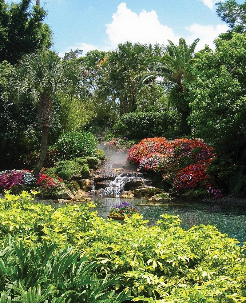Tuinposter 180 x 146 cm (h x br.), Verzenden, Nieuw