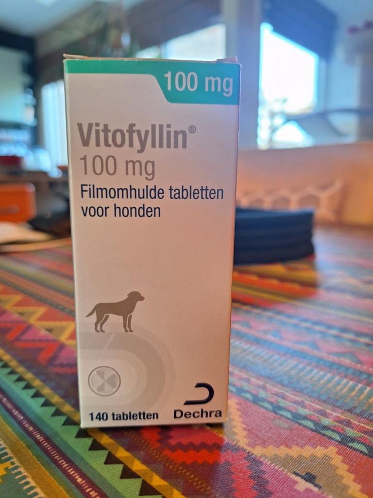 Heb jij een hond die dementeerd en vitallyn gebruikt?, Dieren en Toebehoren, Ophalen of Verzenden