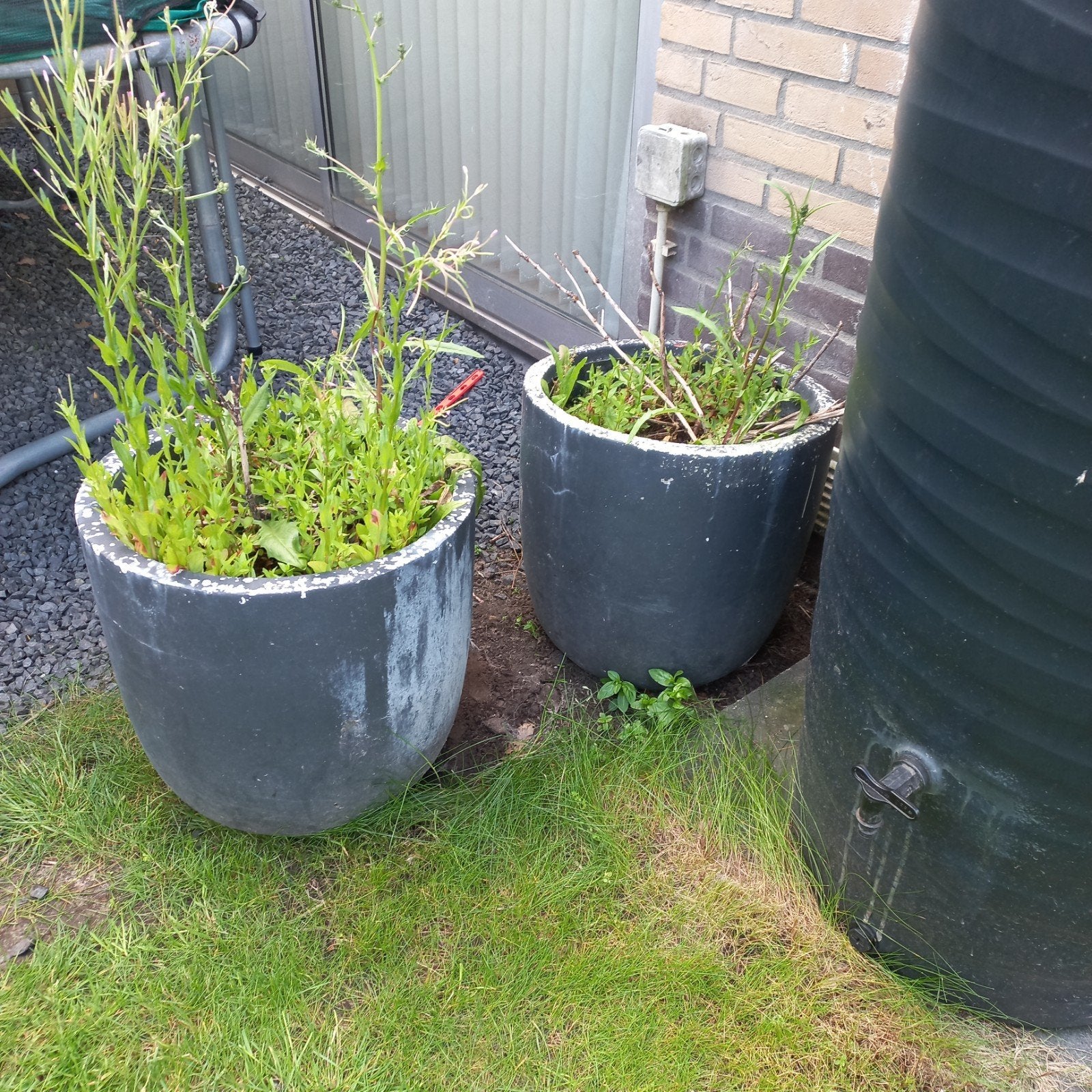 Gratis! 1 Grote Gebruikte Plantenbak voor Buiten, Ophalen, Gebruikt, Rond, Balkon