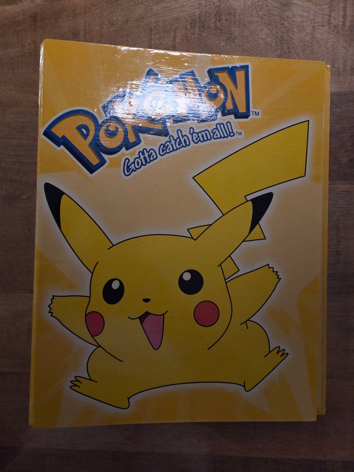 Pokémon Pikachu Map/Boek - Nintendo 2000, Ophalen of Verzenden, Zo goed als nieuw, Boek of Catalogus