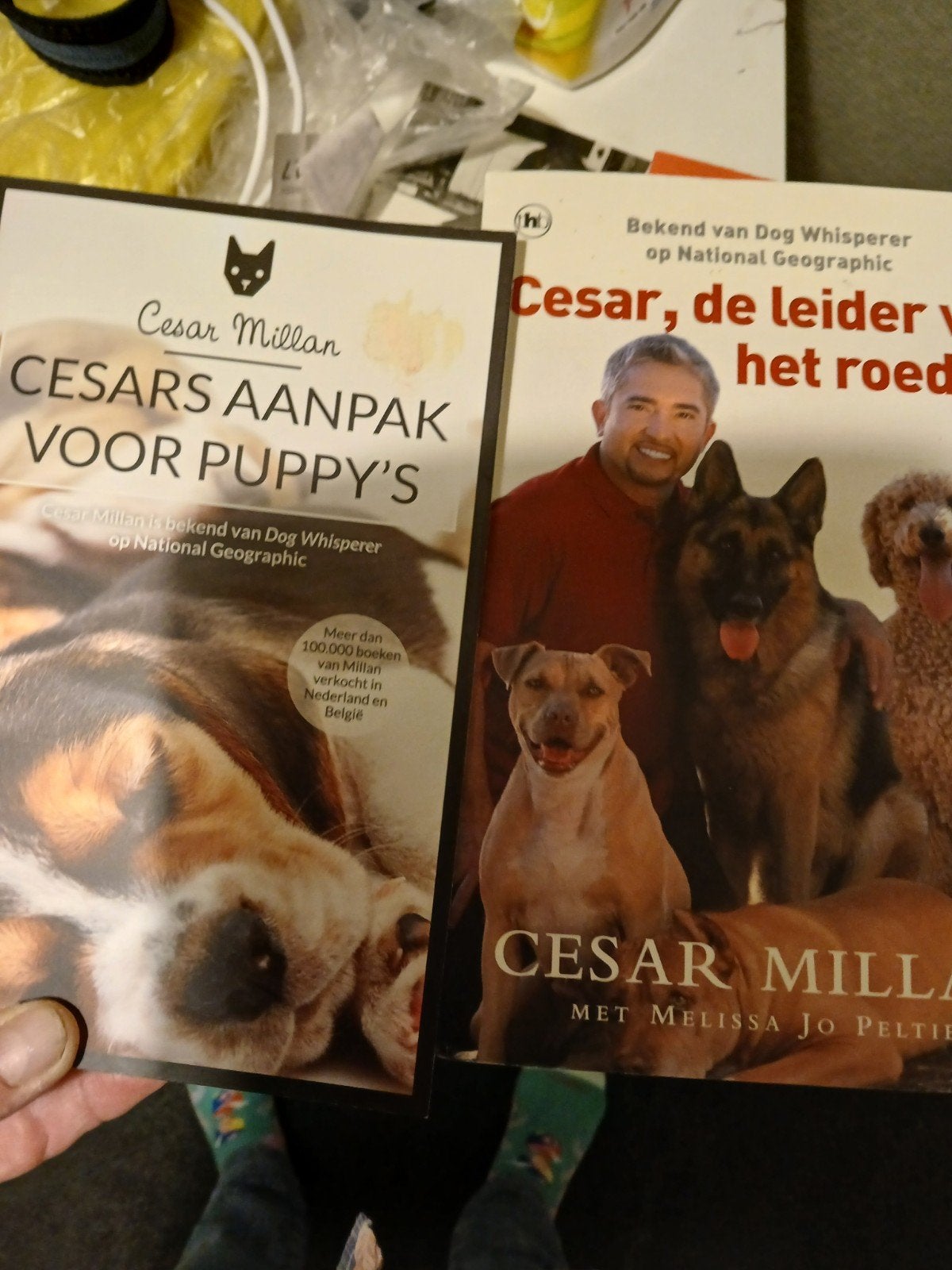 2 boeken Cesar Millan aanpak voor puppy's,  en de leider vd, Ophalen of Verzenden, Gelezen, Honden