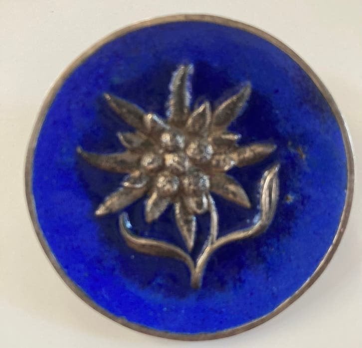 Oude Fraaie Edelweiss broche blauw emaille, Ophalen, Overige materialen, 4 tot 7 cm, Gebruikt