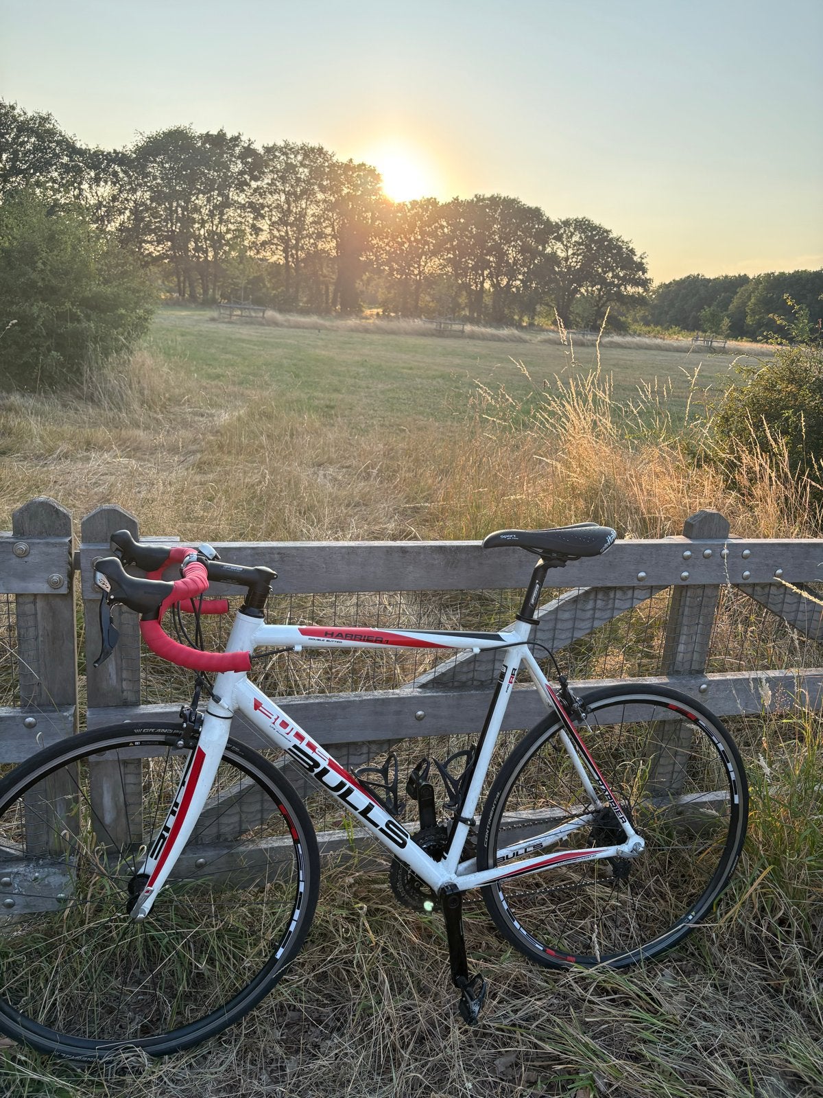 Bulls Harrier 1 racefiets, 28 inch, Gebruikt, Aluminium, Meer dan 20 versnellingen