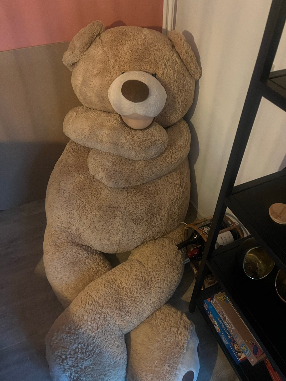 Grote knuffelbeer van 2 meter - Perfect voor knuffels!, Ophalen, Gebruikt, Beer, Bruin