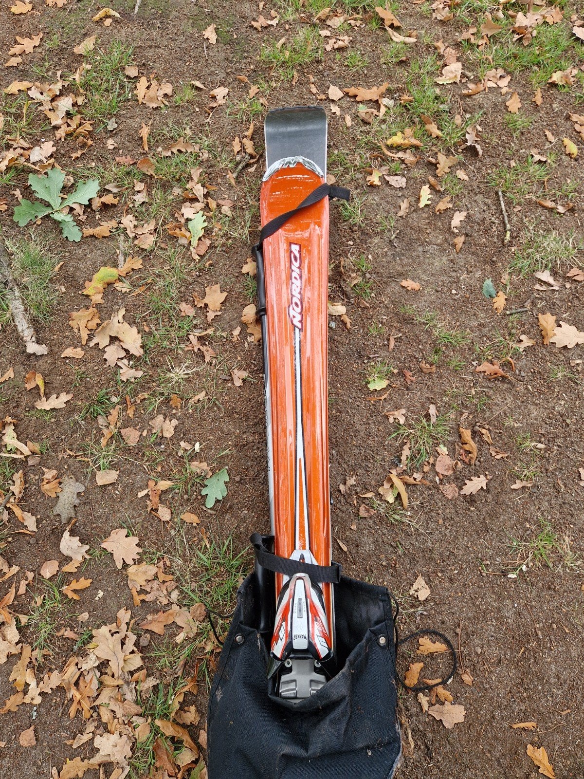 Ski Nordica, Sport en Fitness, 160 tot 180 cm, Gebruikt, Carve, Ski's