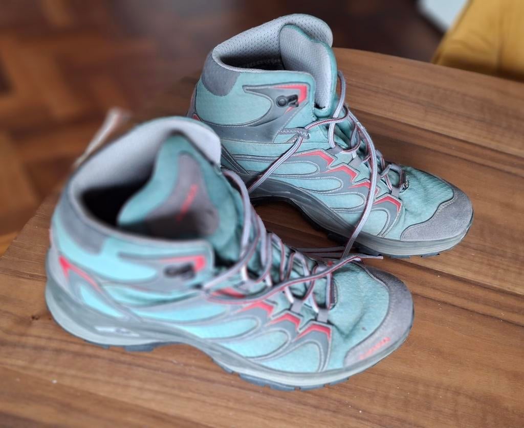 Lowa hoge wandelschoenen, Ophalen of Verzenden, Gebruikt, Schoenen
