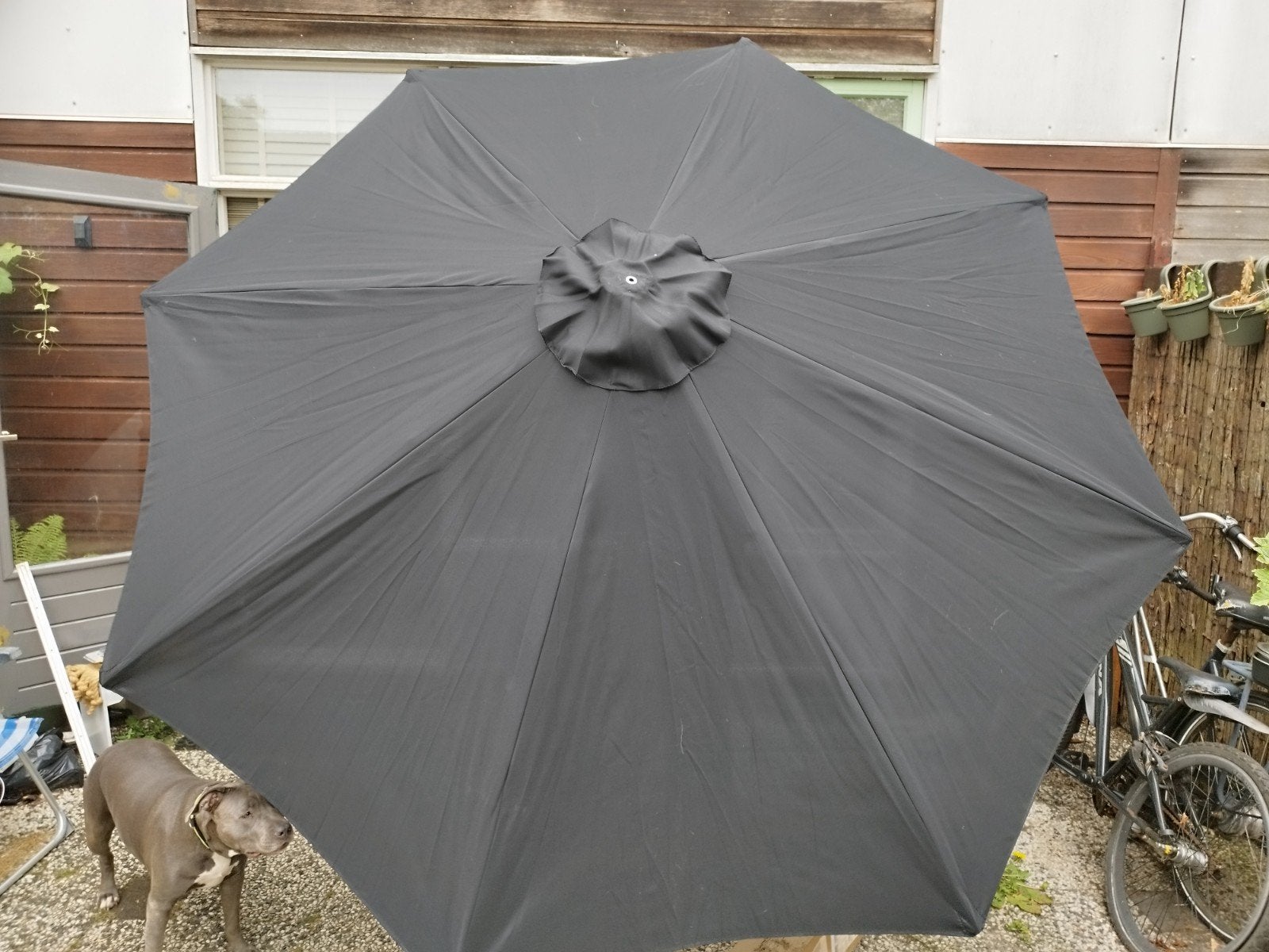 Parasol Black color en hout stelage ., Ophalen of Verzenden, Minder dan 1 meter, Waterdicht
