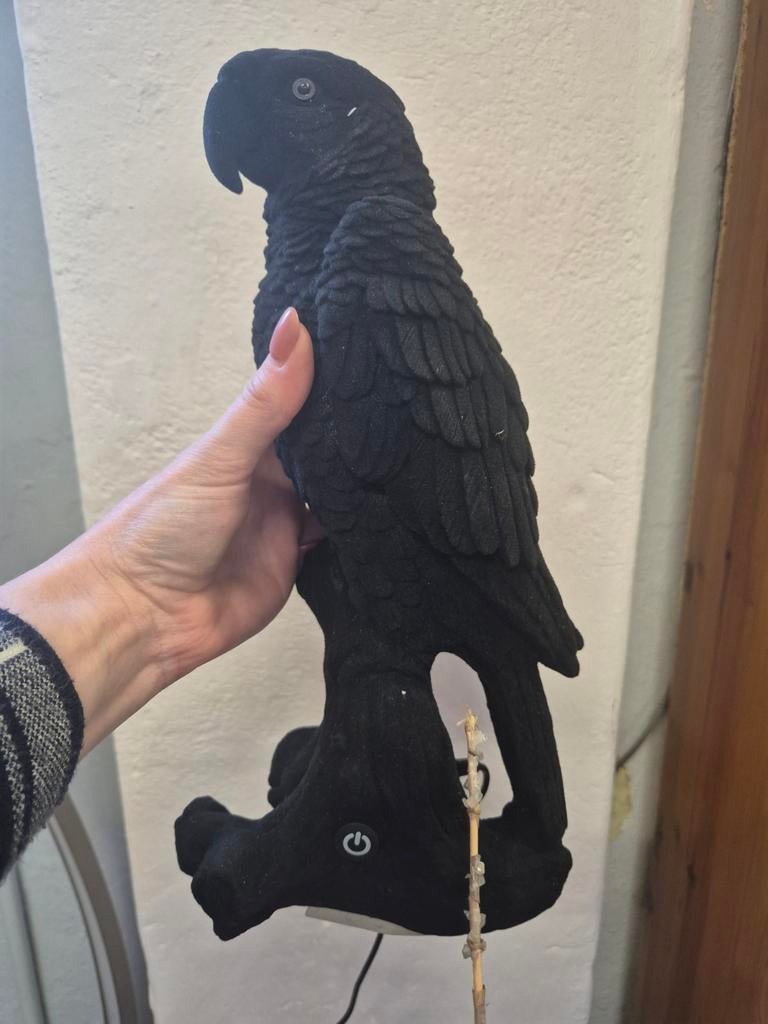 Nieuwe Bold Monkey Deco Lamp Papegaai Zwart, Niet gespecificeerd, zie verpakking voor details, Info@boldmonkey.com, Bold Monkey