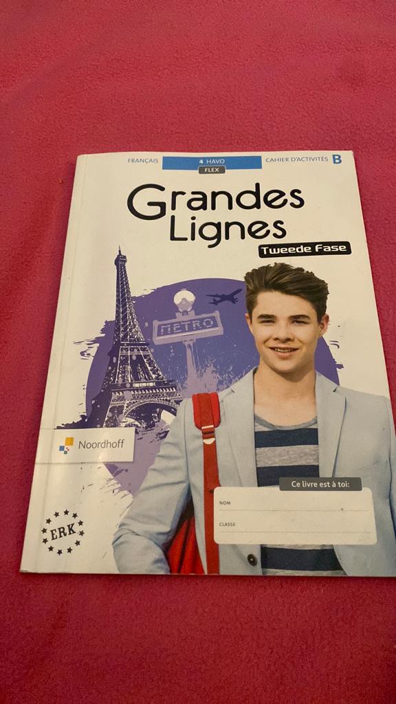 Grandes Lignes 5e ed havo 4 cahiers d'activités, Boeken, Ophalen of Verzenden, Zo goed als nieuw, Overige niveaus, Nederlands