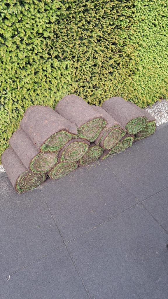 11 Verse graszoden voor een prachtig gazon, Tuin en Terras, Ophalen, Nieuw, Minder dan 10 m², Gras