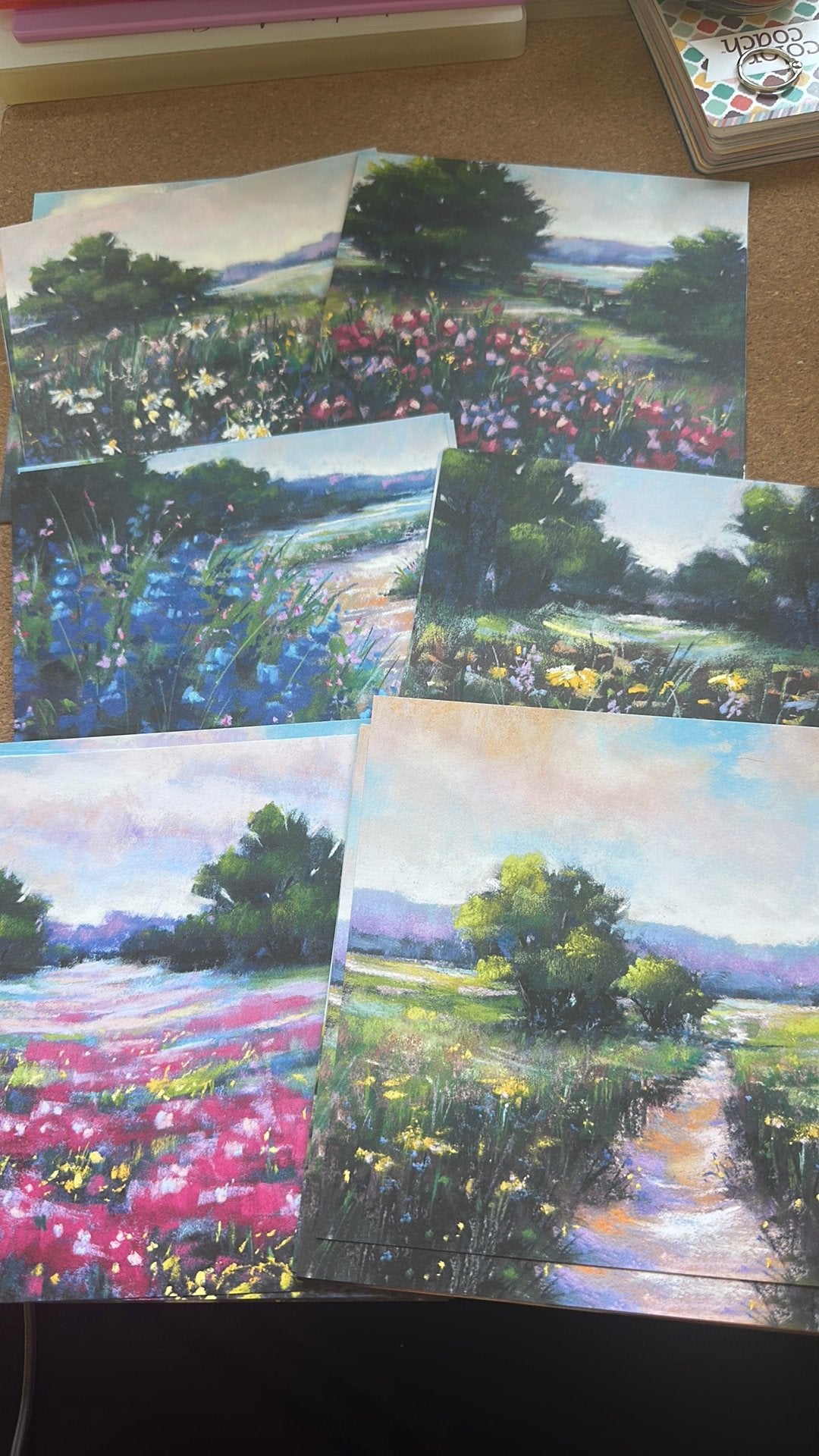 Stampin Up Meandering Meadows designpapier, Hobby en Vrije tijd, Ophalen, Zo goed als nieuw, Natuur, Overige typen