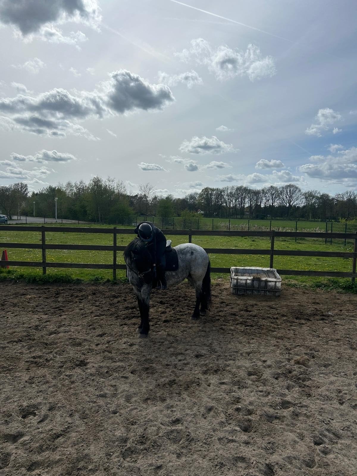 bijrijdpaard gezocht/bijrijder aangeboden, Dieren en Toebehoren