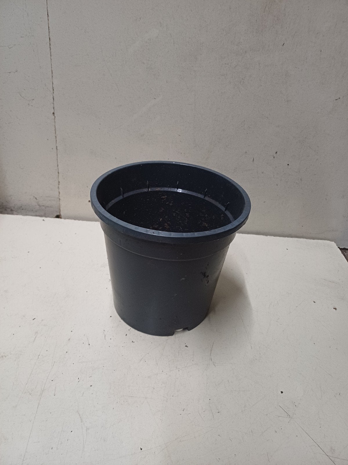 Kweekpotten plantenpotten bloempotten 19 cm, Tuin en Terras, Bloempotten, Kunststof, Gebruikt, Rond, Ophalen of Verzenden