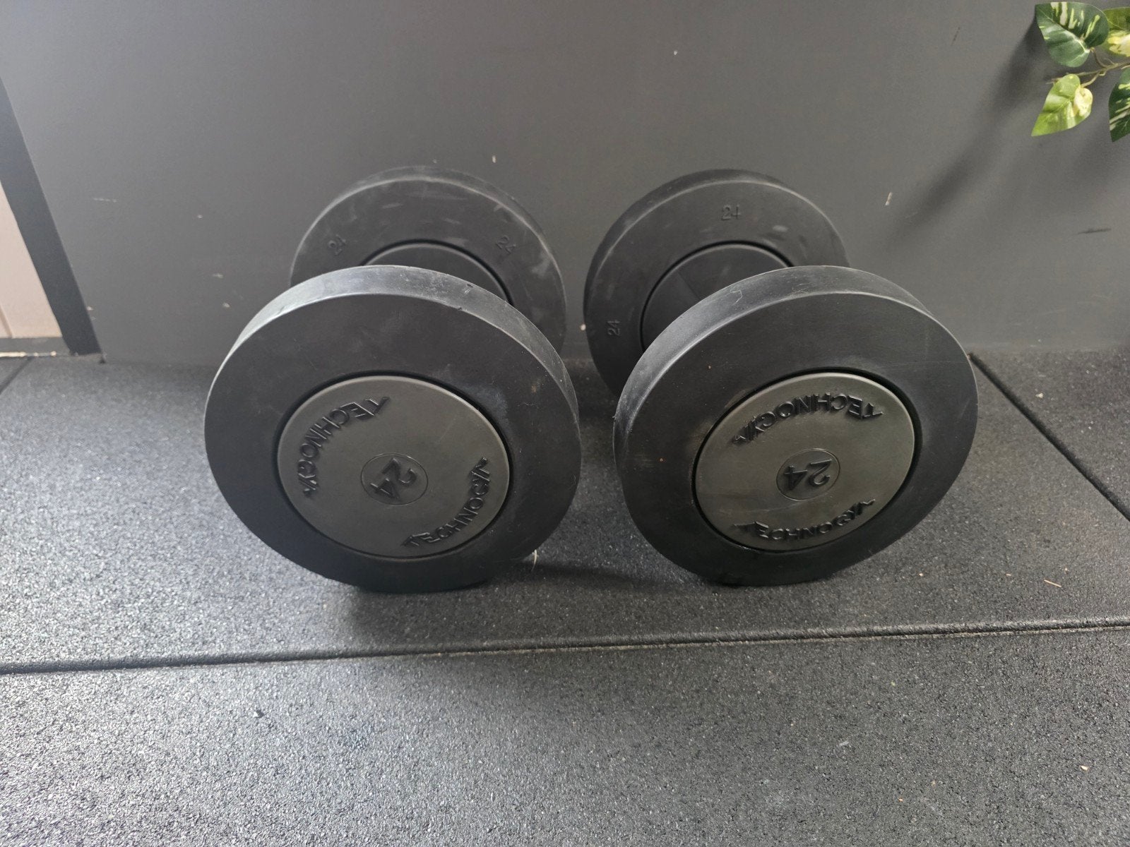 Technogym Dumbbells set24 kg - nette staat, Ophalen, Gebruikt, Benen, Dumbbell
