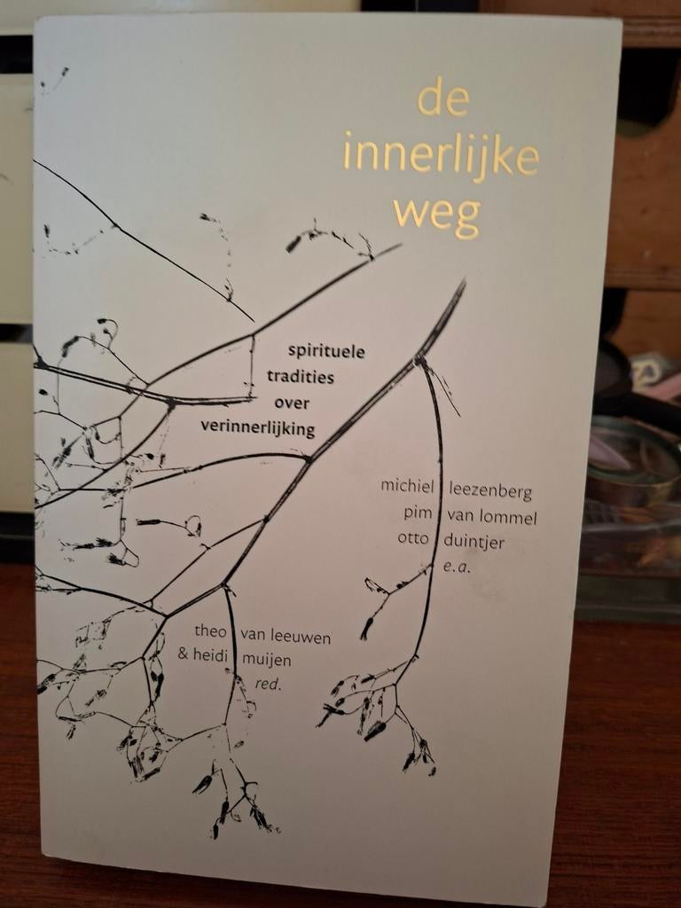 De innerlijke weg theo van leeuwen heidi muijen, Achtergrond en Informatie, Spiritualiteit algemeen, Verzenden, Zo goed als nieuw