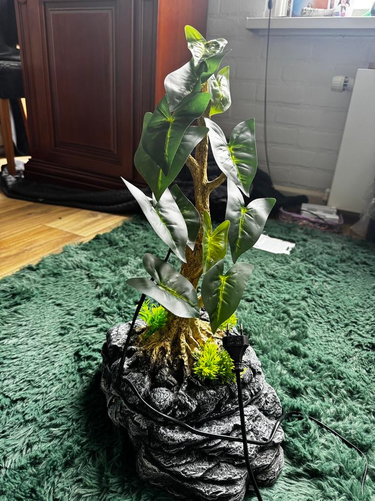 Reptile plant dripper, Overige soorten, 0 tot 2 jaar