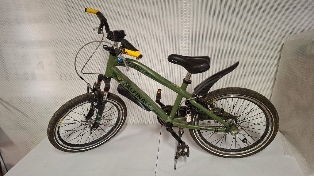 Kinderfiets Alpina Trail 20inch, Ophalen, Gebruikt, ALPINA, Terugtraprem