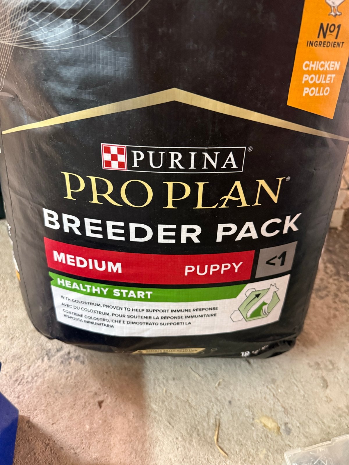 Medium puppy Purina brokken, Ophalen, Hond