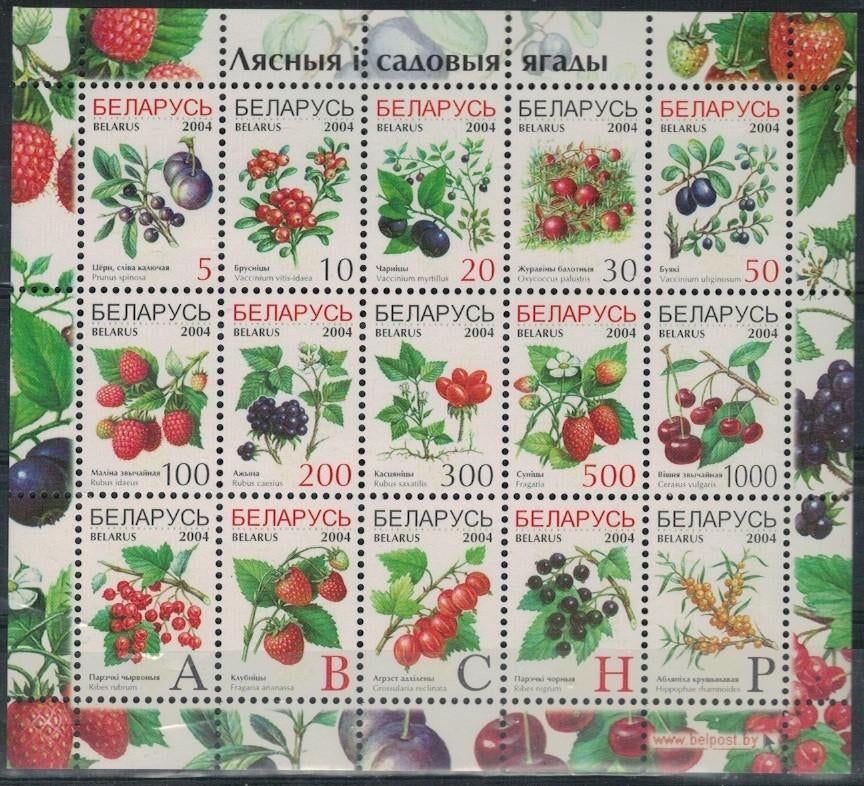 B666 Wit-Rusland Kb 514/28 postfris Vruchten, Verzenden, Gestempeld, Dier of Natuur