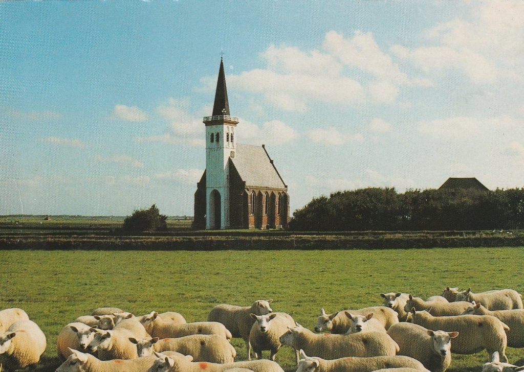 DEN HOORN Ned. Herv. Kerk met Schapen, Verzenden, 1980 tot heden, Gelopen, Waddeneilanden