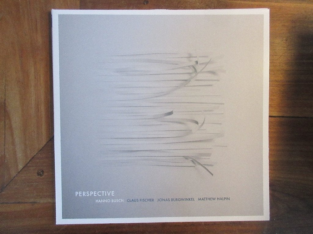 Hanno Busch Perspective - LP, Ophalen of Verzenden, Zo goed als nieuw, 12 inch