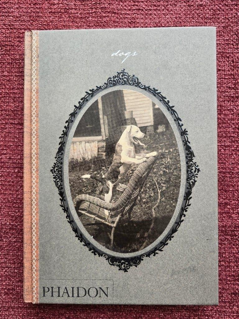 Dogs - Catherine Johnson & William Wegman - Phaidon, Boeken, Catherine Johnson, Honden, Ophalen of Verzenden, Zo goed als nieuw