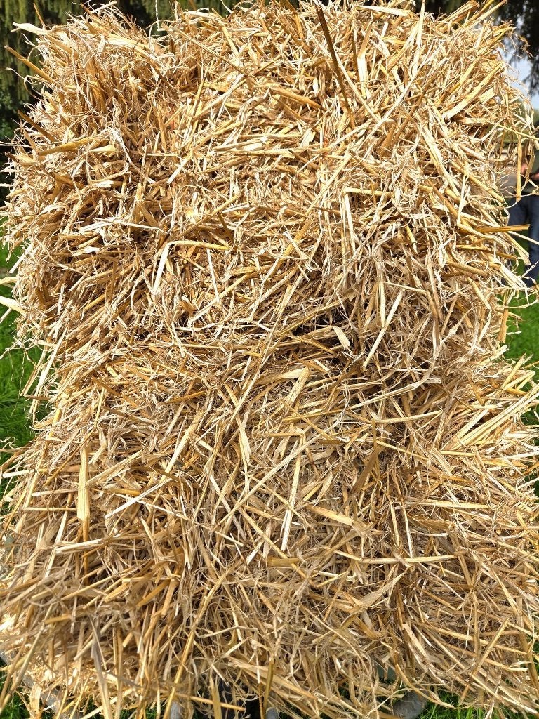 Gerste Stro mooie kwaliteit!, Dieren en Toebehoren, Ophalen, Vee