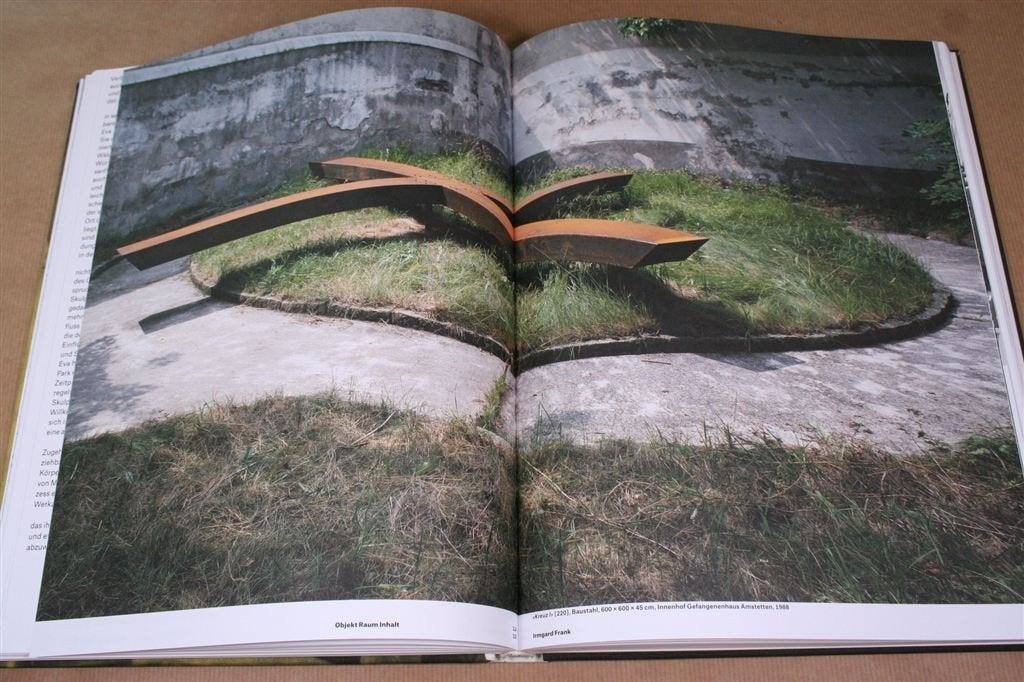 Windwürfel — Rijk geïllustreerd kunstboek van Eva Afuhs, Boeken, Ophalen of Verzenden, Gelezen