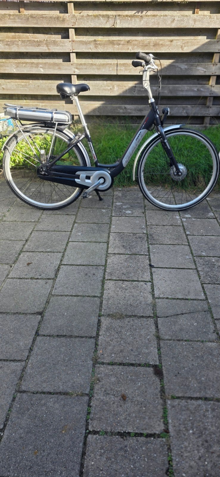Giant Twist Lite Power / e-bike met goede accu, Ophalen, Gebruikt, 50 km per accu of meer, Giant