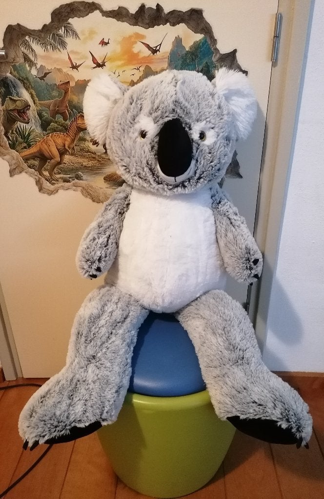 Grote koala knuffelbeer, Ophalen of Verzenden, Nieuw, Beer