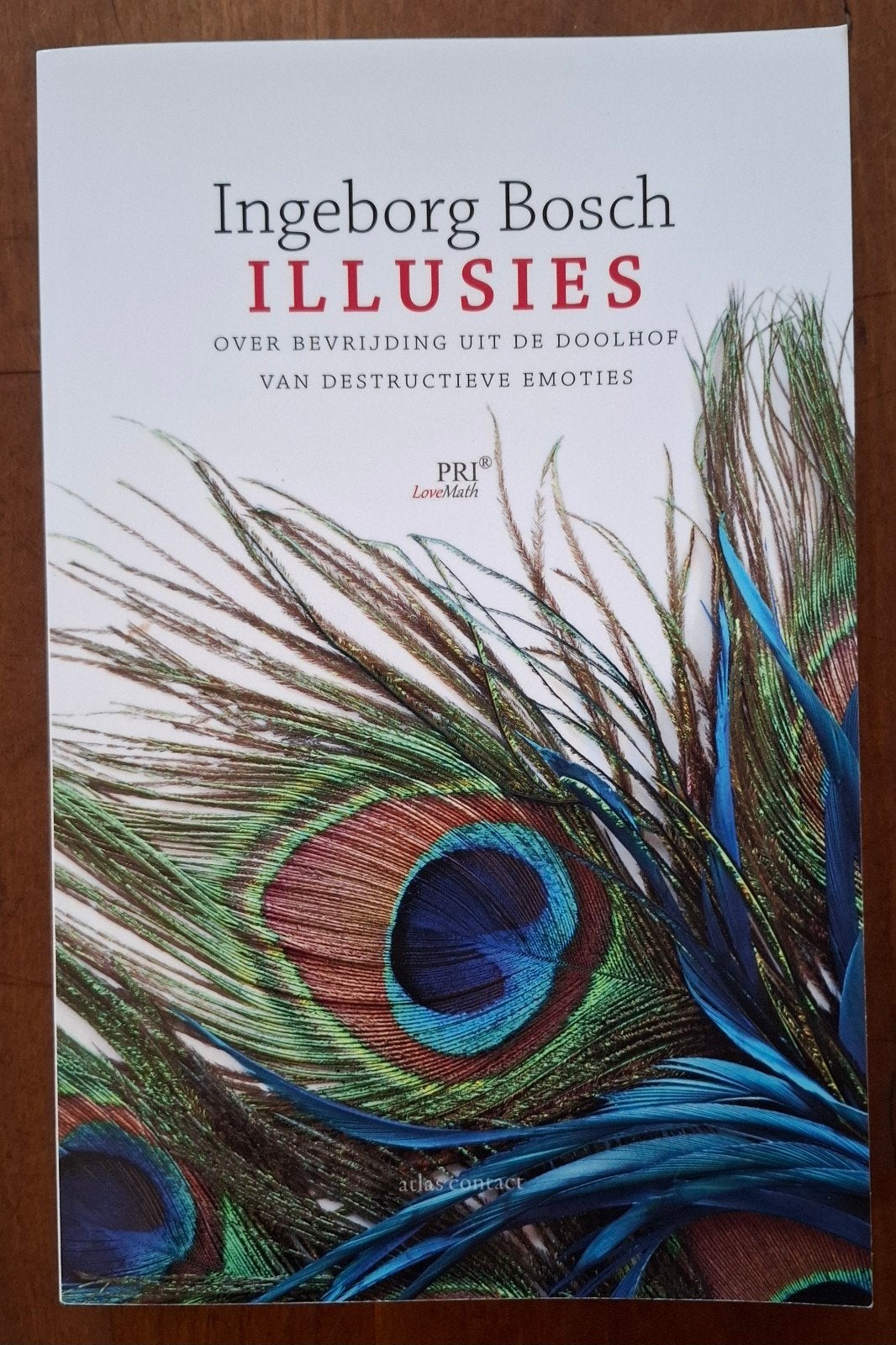 Ingeborg Bosch - Illusies, Ophalen of Verzenden, Zo goed als nieuw, Ingeborg Bosch