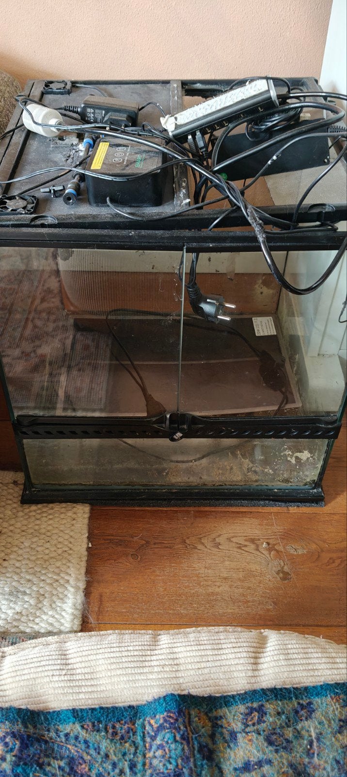 Exo Terra terrarium 45*45*45, Dieren en Toebehoren, Reptielen en Amfibieën | Toebehoren, Ophalen, Gebruikt, Terrarium of Paludarium