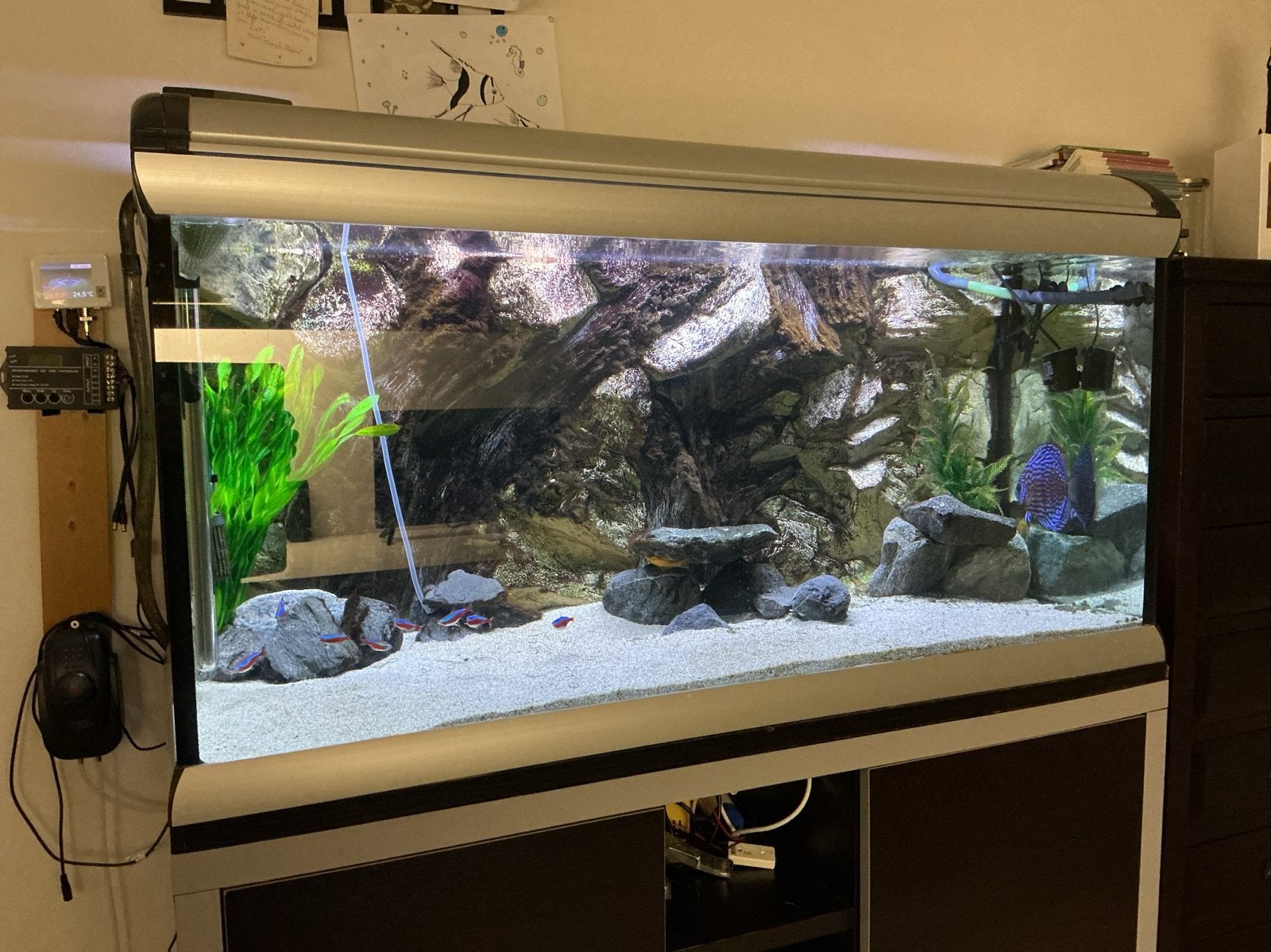 Te koop Ferplast aquarium. Totaal compleet. Teab, Ophalen, Gebruikt, Leeg aquarium