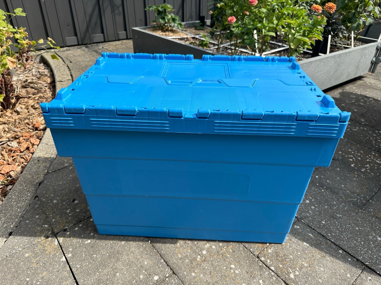Witlof kweekbak, Tuin en Terras, Kunststof, Ophalen of Verzenden, Zo goed als nieuw, Binnen