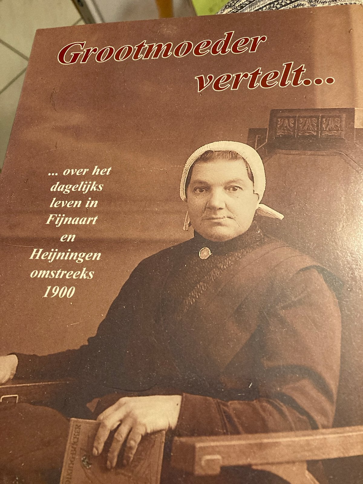 Grootmoeder vertelt... Fijnart en Heijningen omstreeks 1900, Ophalen of Verzenden, 20e eeuw of later, Gelezen