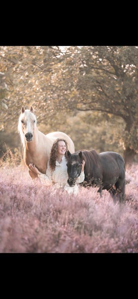 Verzorgster gezocht voor mijn lieve pony's., Dieren en Toebehoren, Ophalen of Verzenden