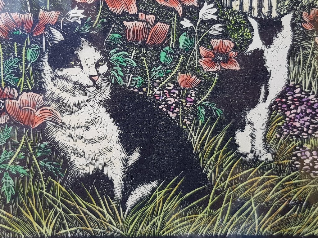 Prachtige litho uit Engeland met poezen of katten 30,5 cm., Antiek en Kunst, Kunst | Litho's en Zeefdrukken, Gelimiteerde oplage
