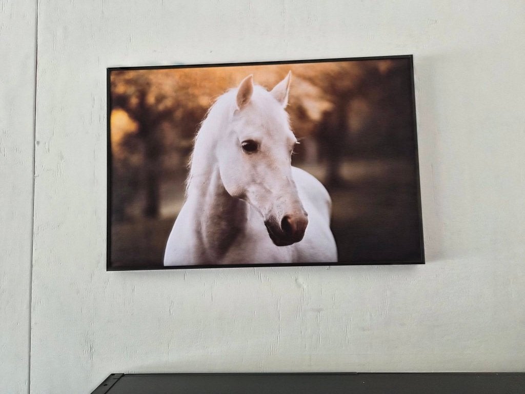 Akoestisch Wandpaneel – Paard wit bos, Ophalen of Verzenden, Zo goed als nieuw, Wandbord of Wandpaneel, 60 cm