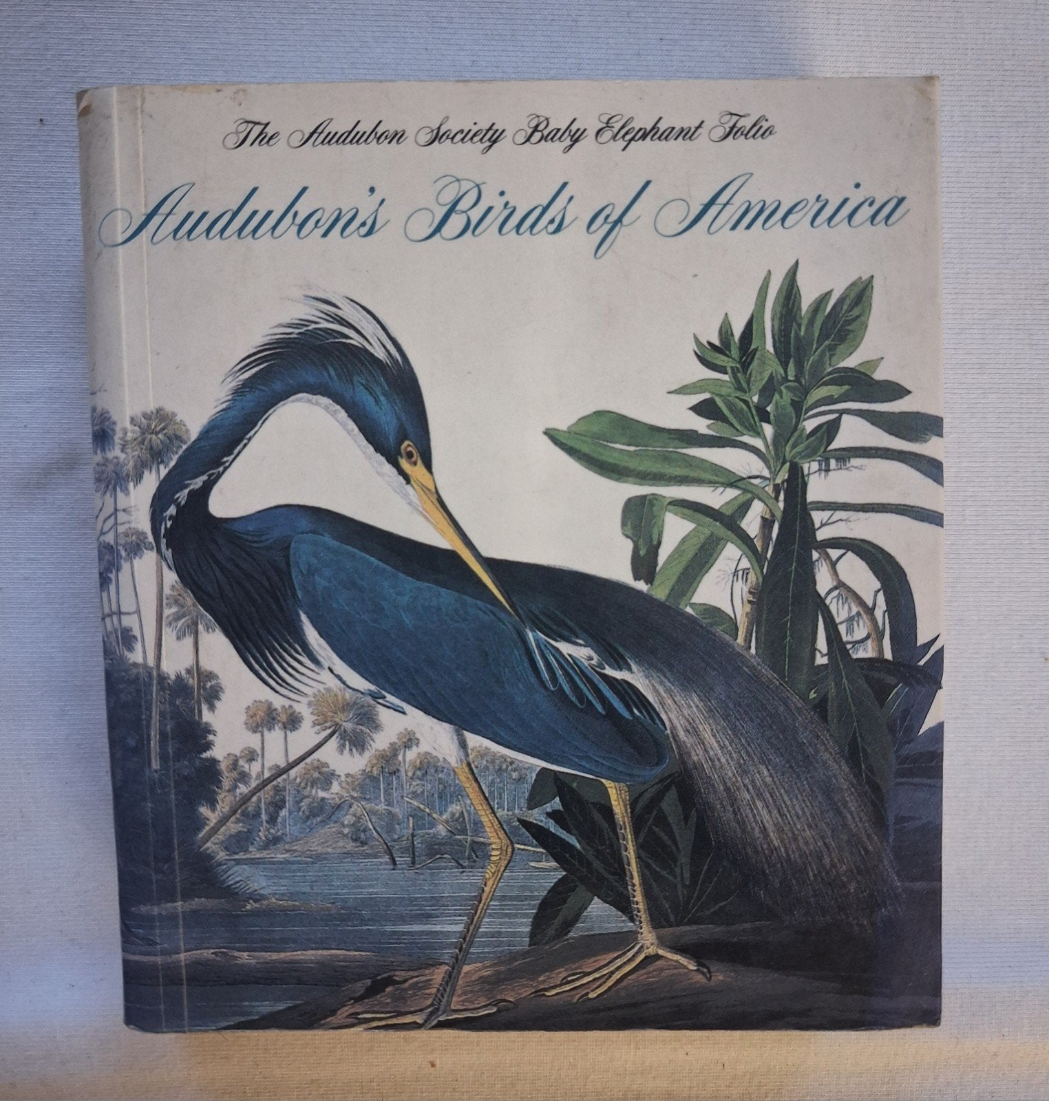 Audubon's Birds of America, Ophalen of Verzenden, Gelezen, Vogels