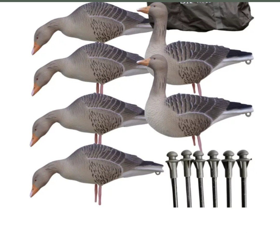 ganzen. Natuurgetrouwe details, Ophalen of Verzenden, Nieuw, Overige typen