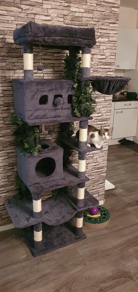 Katten krabpaal, Dieren en Toebehoren, Ophalen of Verzenden, Zo goed als nieuw, Krabpaal