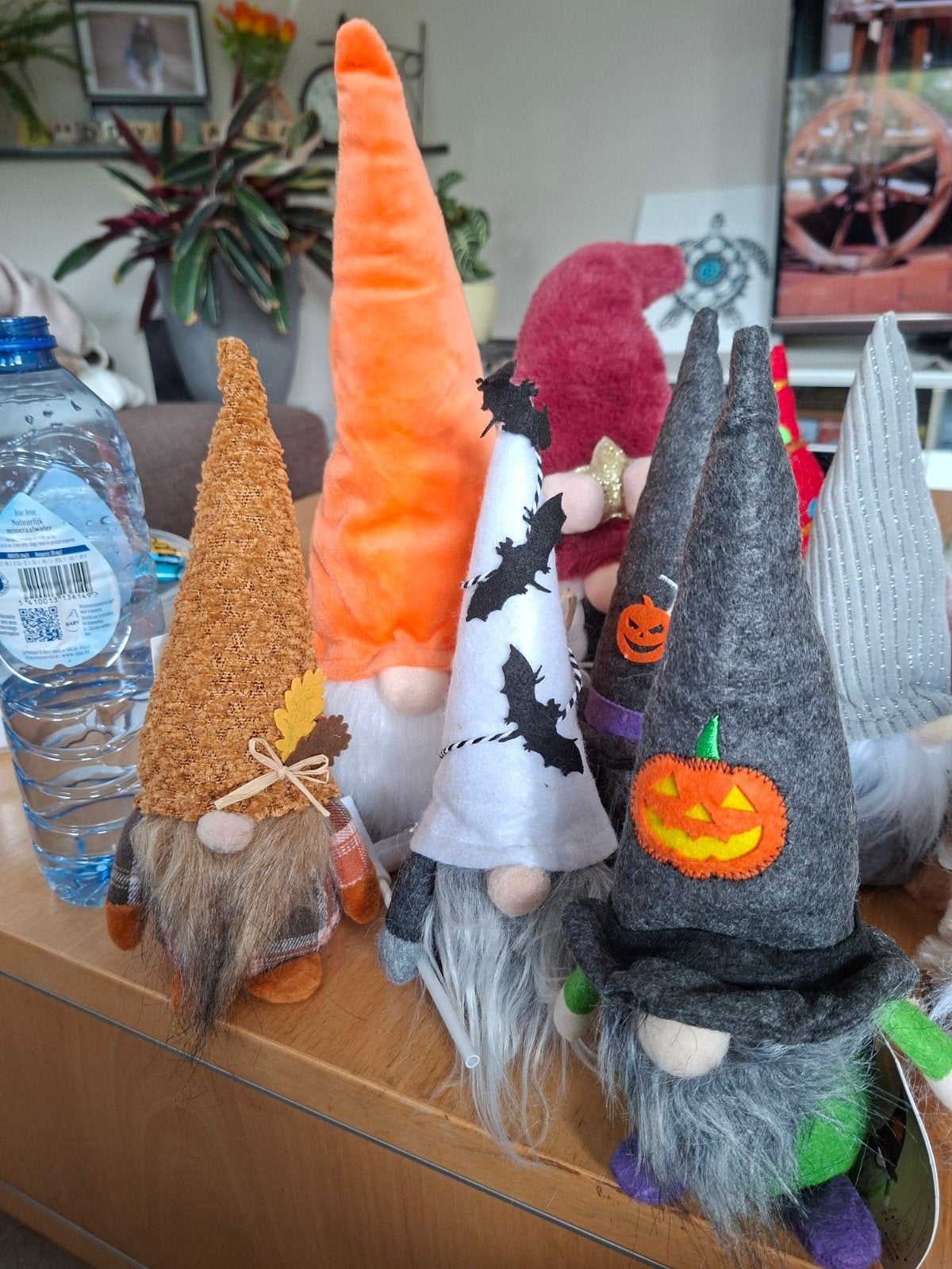 Leuke gnome collectie 16 in totaal, Meerkleurig, Overige stijlen, Ophalen of Verzenden, Zo goed als nieuw