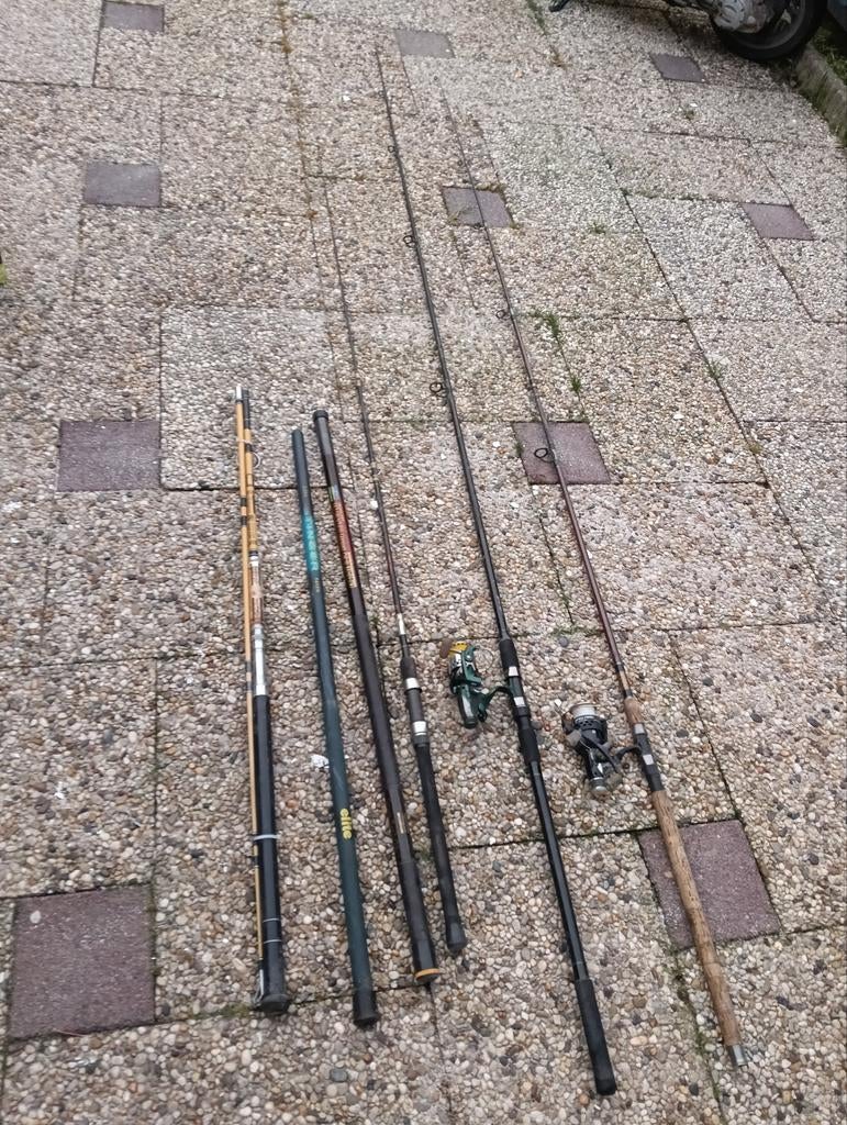 Diverse hengels: karper, snoek, zee, winkel, uitschuifbaar, Watersport en Boten, Hengelsport | Karpervissen, Gebruikt, Werphengel