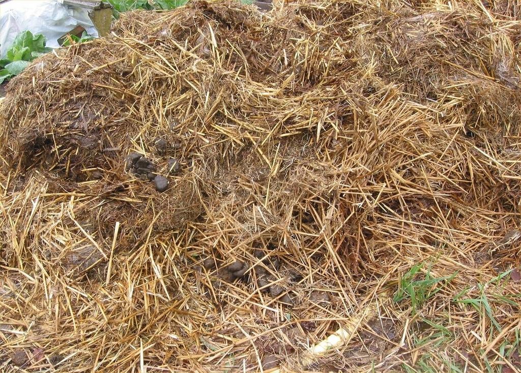 Paardenmest ophalen