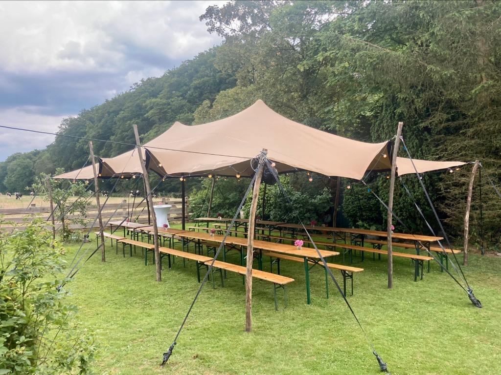 Stretchtent Bedoeïenentent 10 x 6,5m te huur, Ophalen, Opvouwbaar, Overige typen, 6 meter of meer