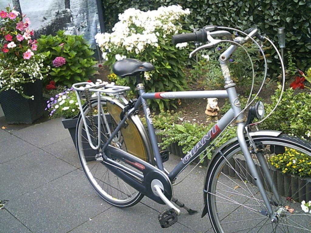 Herenfiets Giant, Fietsen en Brommers, Ophalen, Gebruikt, Versnellingen, 49 tot 53 cm