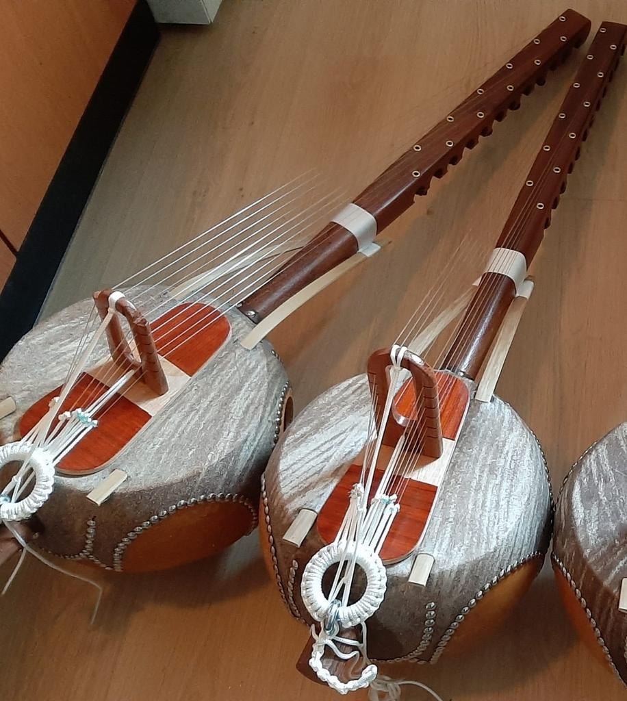 Nieuwe Ngoni 12 snaren, Ophalen of Verzenden, Nieuw