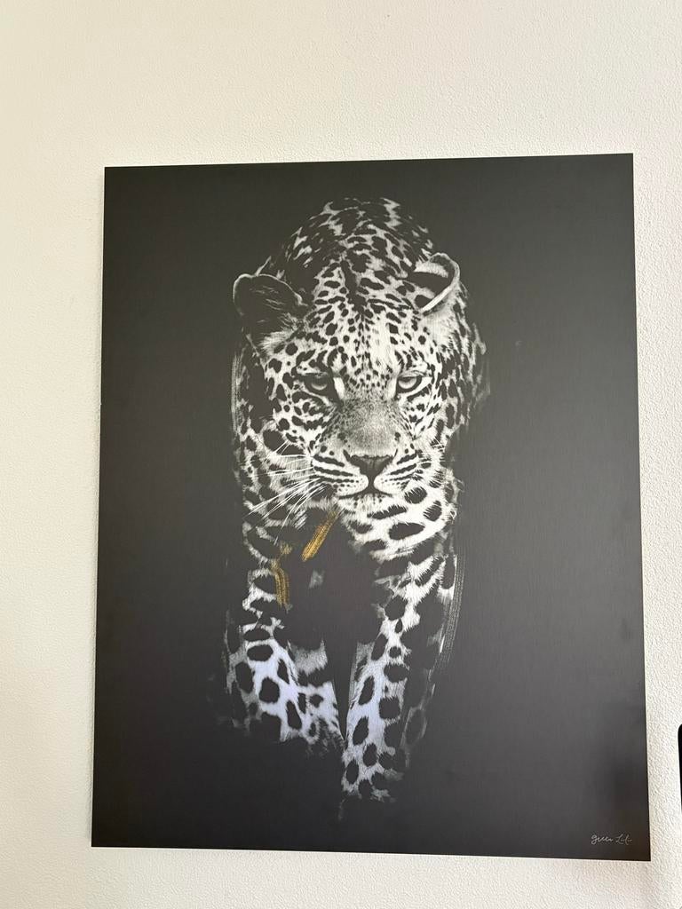 Luipaard Schilderij op Aluminium - Green Lili, Huis en Inrichting, Woonaccessoires | Schilderijen, Tekeningen en Foto's, Ophalen