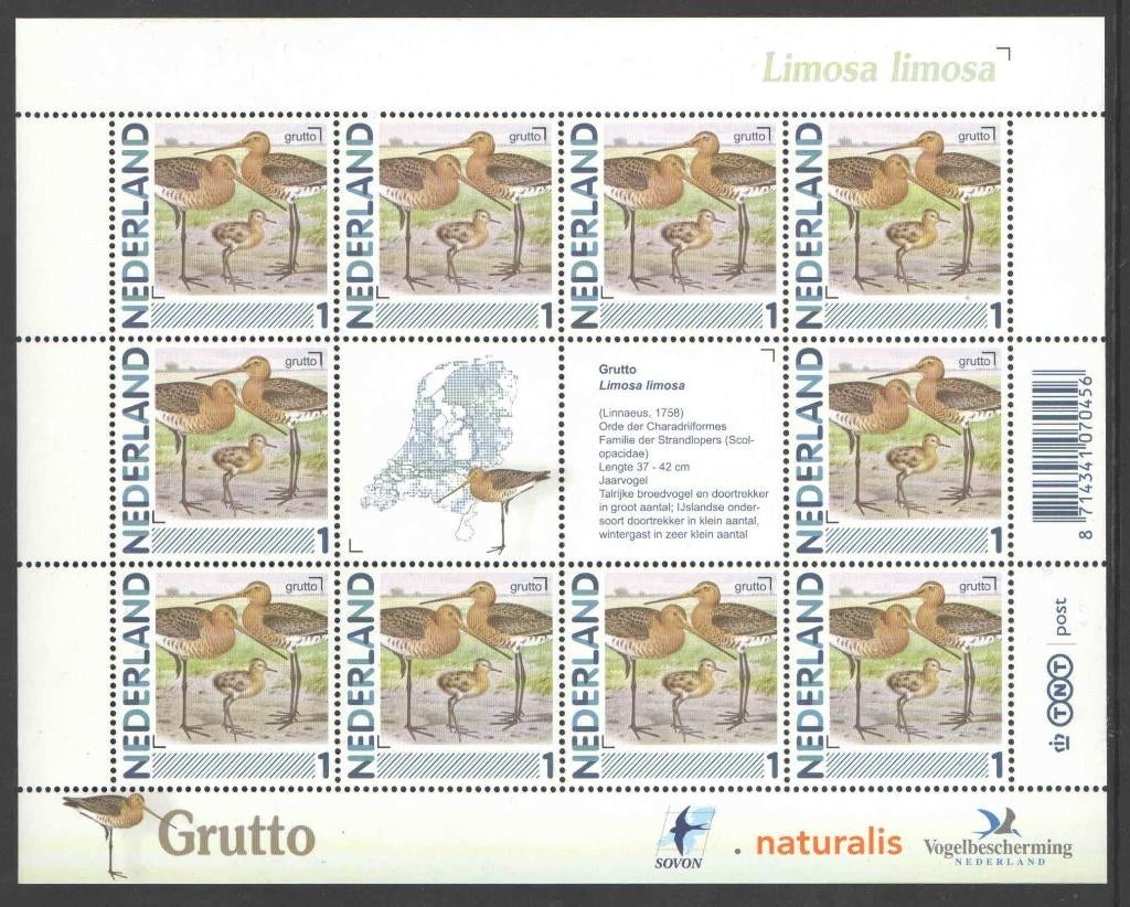Postzegels Vogels in Nederland: Grutto, Ophalen of Verzenden, Na 1940, Postfris